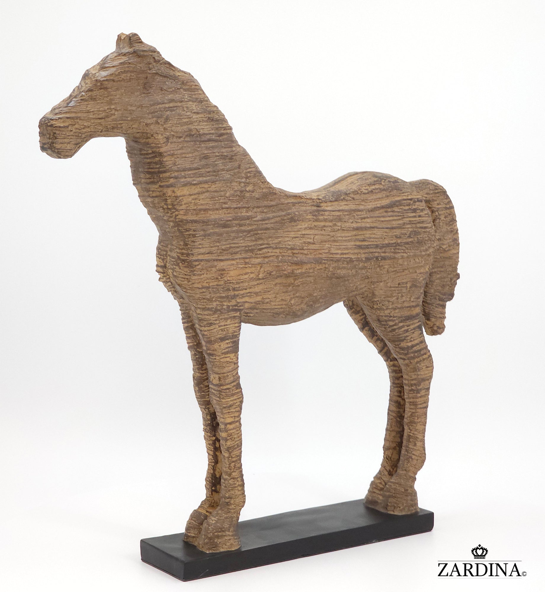 Horse of the Sahara