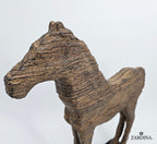 Horse of the Sahara
