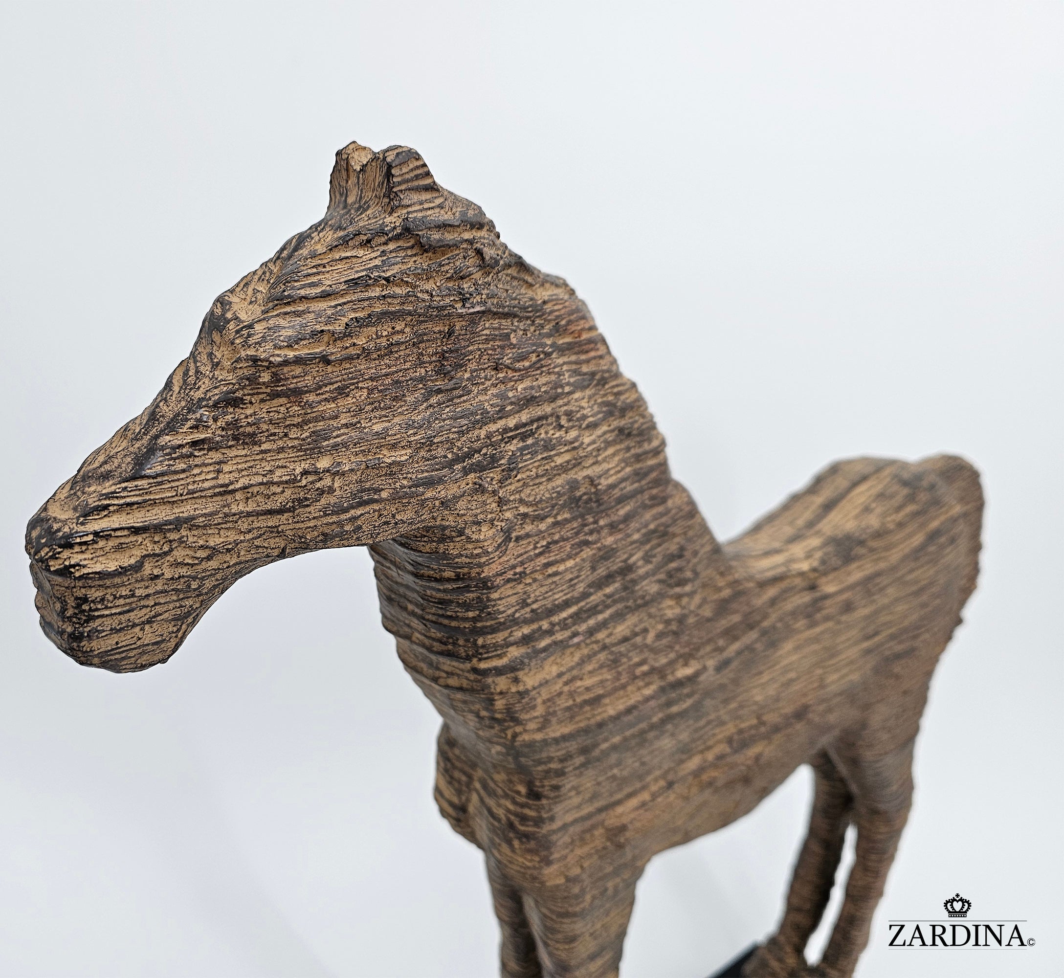 Horse of the Sahara