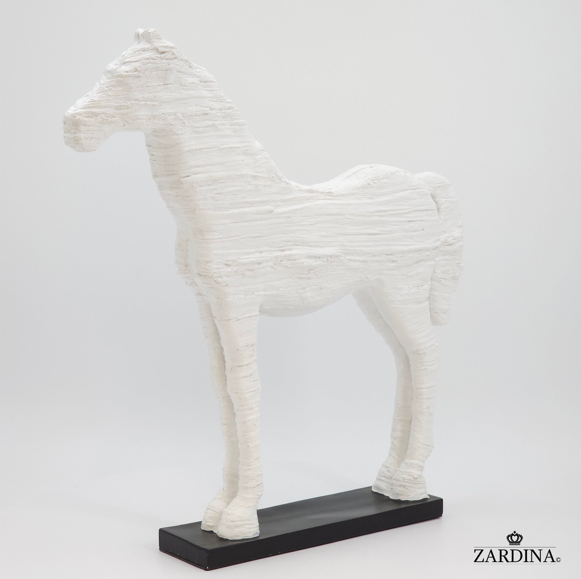 Horse of the Sahara