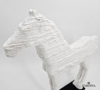 Horse of the Sahara