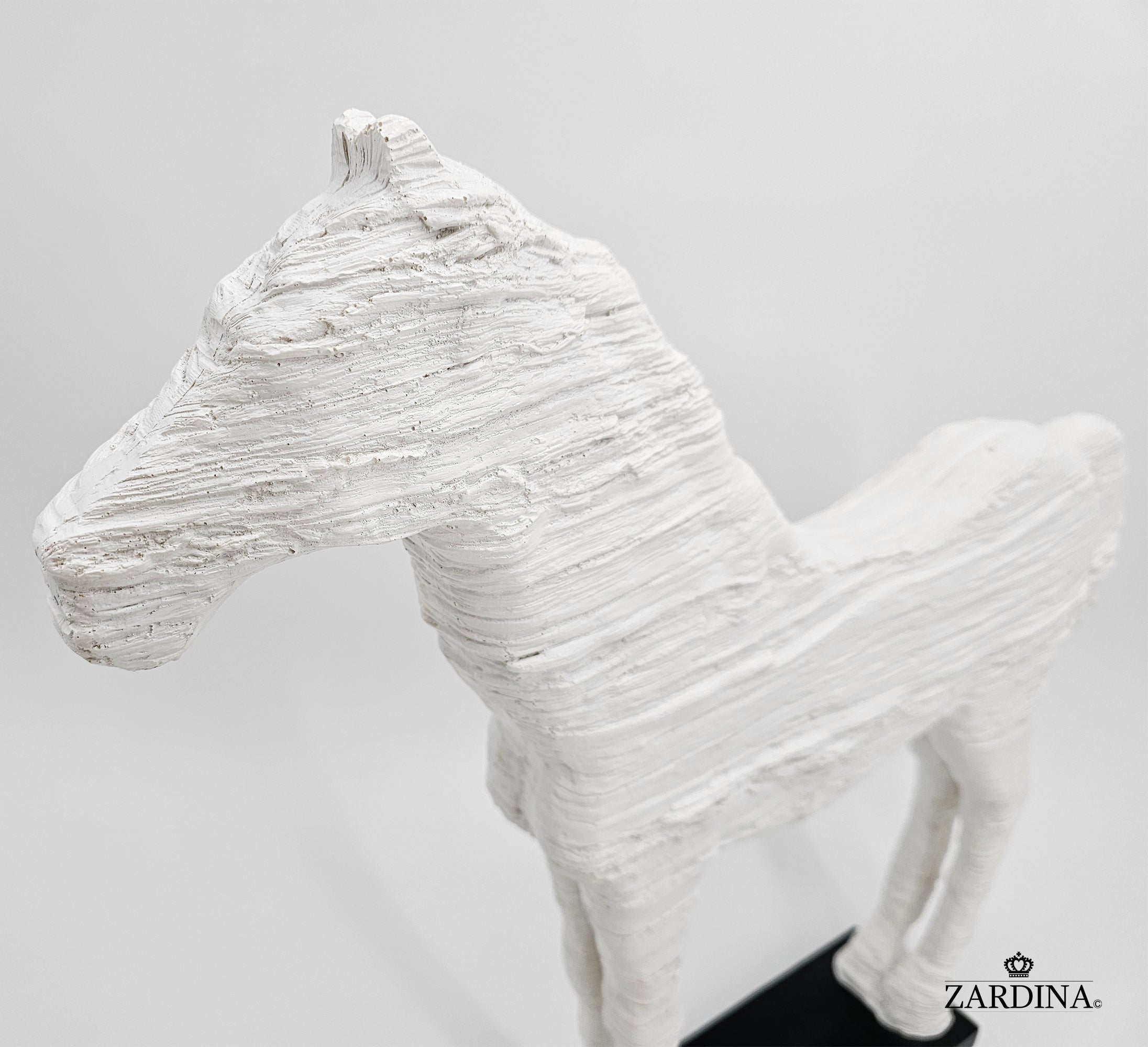 Horse of the Sahara