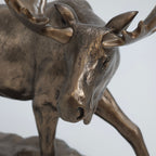 Alaskan Moose