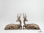The Arden Deer