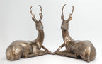 The Arden Deer