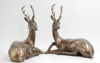 The Arden Deer