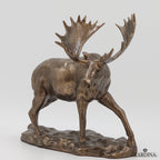 Alaskan Moose