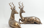 The Arden Deer