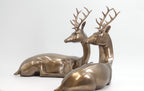 The Arden Deer