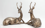 The Arden Deer