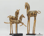 Golden Zebras